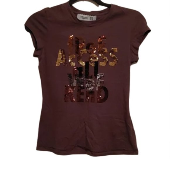 ZARA basic dark Brown T-shirt with short sleeves and sparkly applique - Picture 1 of 9